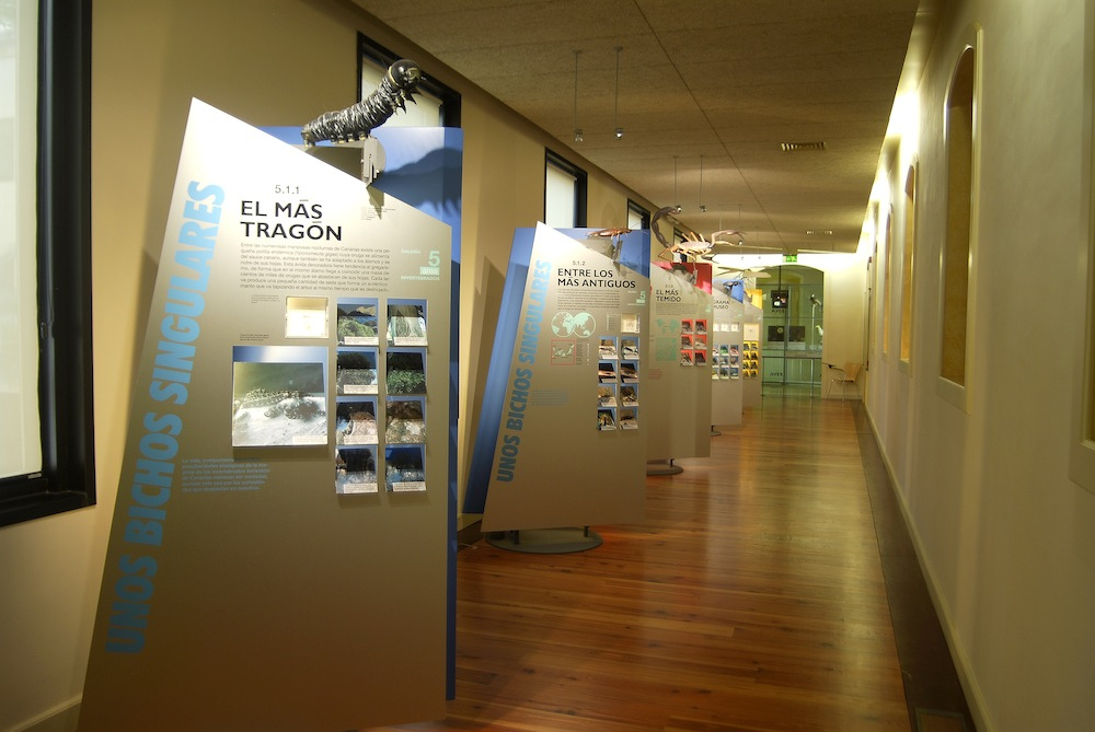 Muzei-Tenerife-Muzej-prirody-i-cheloveka